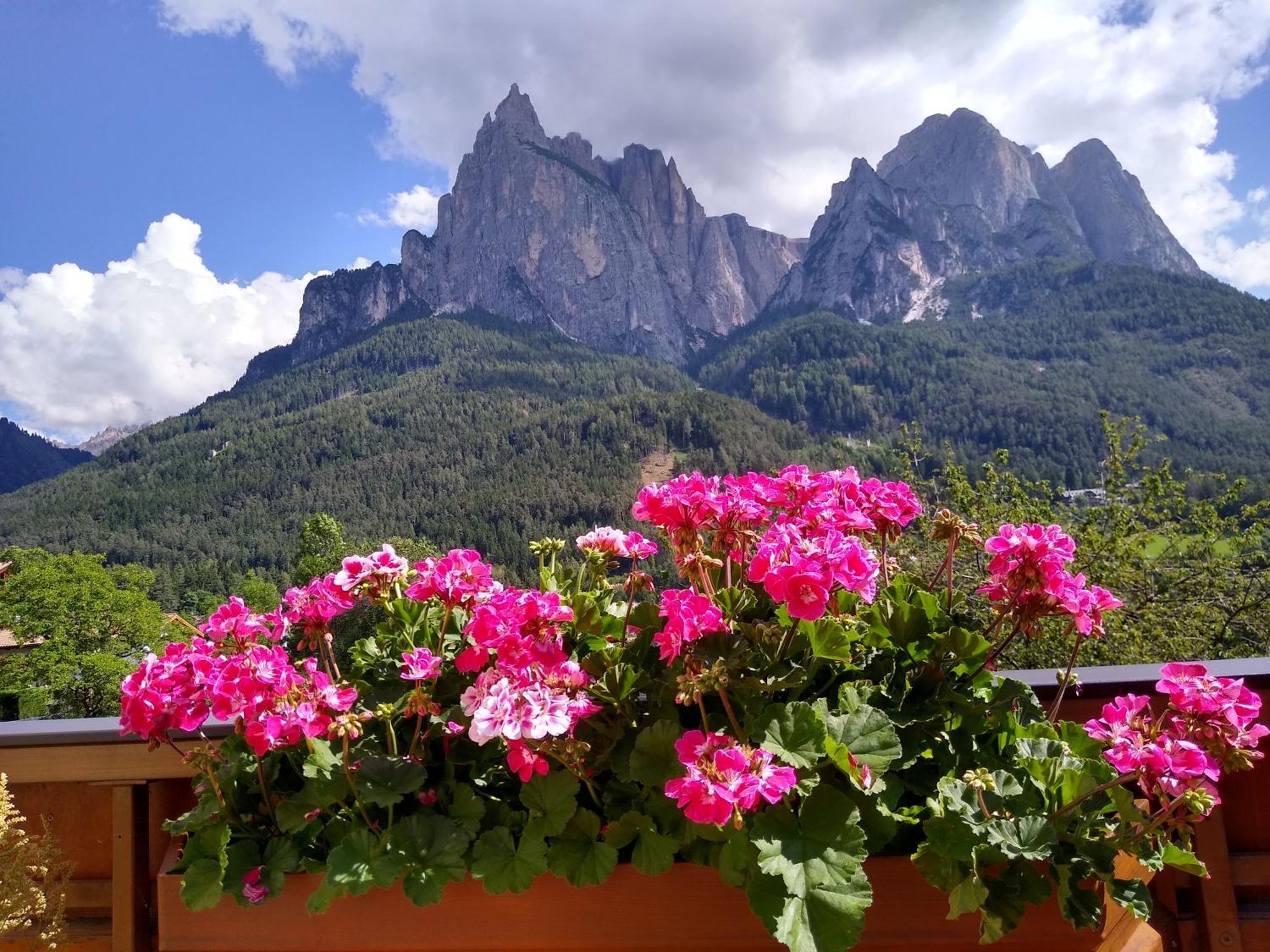 Apartment Euringer Villa Erna Siusi Dış mekan fotoğraf